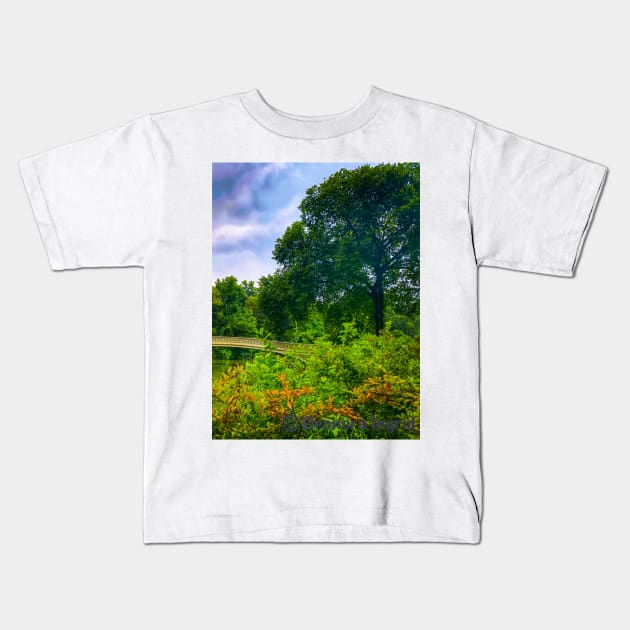 Bow Bridge Central Park Manhattan NYC Kids T-Shirt by eleonoraingrid